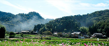 鰻の隠れた産地・兵庫県